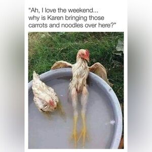 Mystery Items🥳🚨